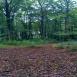 Trasa z dnia 2016-10-13 18:34