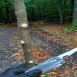 Trasa z dnia 2016-10-13 18:34