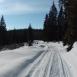 Trasa z dnia 2017-02-04 13:45