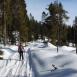 Trasa z dnia 2017-02-04 13:45