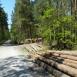 Trasa z dnia 2017-05-20 17:59