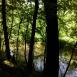 Bolimów singletrack 2017-05-30 13:07
