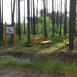 Trasa z dnia 2017-06-25 19:24
