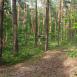 Trasa z dnia 2017-06-25 19:24