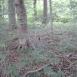 Trasa z dnia 2012-06-30 16:05:44