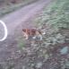 Trasa z dnia 2012-06-30 16:05:44