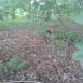 Trasa z dnia 2012-06-30 16:05:44