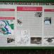 Studzianki pancerne 2018-07-27 16:21