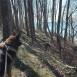 Trasa z dnia 2019-04-22 13:09