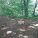 Trasa z dnia 2019-06-15 12:22