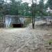 Mazowiecki Park Krajobrazowy - bunkry i Torfy