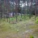 Mazowiecki Park Krajobrazowy - bunkry i Torfy