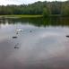 Mazowiecki Park Krajobrazowy - bunkry i Torfy
