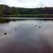 Mazowiecki Park Krajobrazowy - bunkry i Torfy