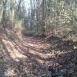 Trasa z dnia 2012-11-14 14:36