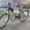 20130414_182450.jpg