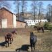 Zbrosławice 2013-04-15 12:53