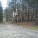 Kampinos cz 1