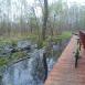 Kampinos cz 1
