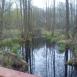 Kampinos cz 1