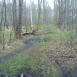 Kampinos cz 1