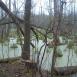 Kampinos cz 1