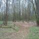 Kampinos cz 1