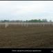 Knaj-2013-05-05