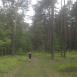 2013-05-25 10_57_40_history