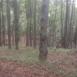 2013-05-25 10_57_40_history