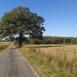 Trasa z dnia 2014-02-23 14:44