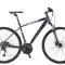 Roam_2_Disc_grey[1].jpg