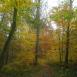 Trasa z dnia 2014-02-23 14:44