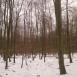 Pierwsze śniegi za płoty Opole Turawa Opole 31.22km http:  youtu.be qAEkaM1iQ38