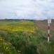 Trasa z dnia 2015-05-10 09:23