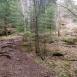Trasa z dnia 2016-04-11 13:18
