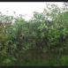 Trasa z dnia 2016-05-03 17:03