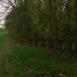 Trasa z dnia 2016-05-03 17:03