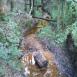 Trasa z dnia 2016-08-02 19:29