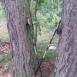 Trasa z dnia 2016-08-03 13:25