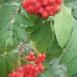 Trasa z dnia 2016-08-03 13:25