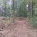 Trasa z dnia 2016-08-16 16:05