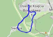 Trasa z dnia 2016-04-29 19:35 - mapa trasy gps - bieganie