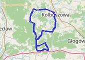 Trasa z dnia 2016-05-07 12:07 - mapa trasy gps - rower szosowy