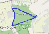 Trasa z dnia 2016-05-08 17:29 - mapa trasy gps - marsz