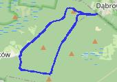 Trasa z dnia 2016-05-10 18:22 - mapa trasy gps - nordic walking