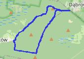 Trasa z dnia 2016-05-18 18:09 - mapa trasy gps - nordic walking