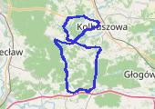 Trasa z dnia 2016-05-19 18:53 - mapa trasy gps - rower szosowy