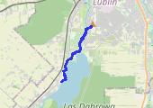 8 km + przebieżki 5 x 25s - mapa trasy gps - bieganie