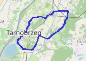 Trasa z dnia 2012-03-28 17:07 - mapa trasy gps - rower trekkingowy